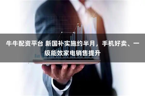 牛牛配资平台 新国补实施约半月，手机好卖、一级能效家电销售提升