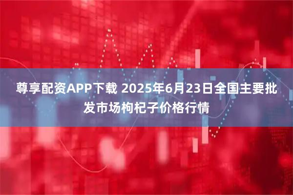 尊享配资APP下载 2025年6月23日全国主要批发市场枸杞子价格行情