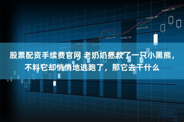 股票配资手续费官网 老奶奶拯救了一只小黑熊，不料它却悄悄地逃跑了，那它去干什么
