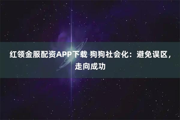红领金服配资APP下载 狗狗社会化：避免误区，走向成功