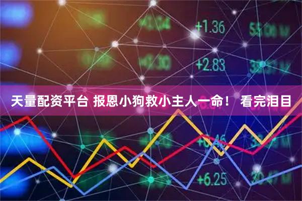 天量配资平台 报恩小狗救小主人一命！ 看完泪目