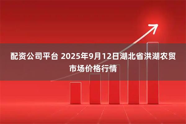配资公司平台 2025年9月12日湖北省洪湖农贸市场价格行情