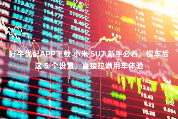 好牛优配APP下载 小米 SU7 新手必看，提车后这 5 个设置，直接拉满用车体验