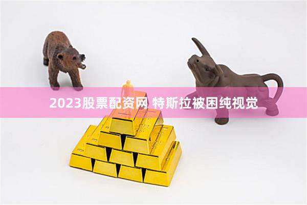 2023股票配资网 特斯拉被困纯视觉